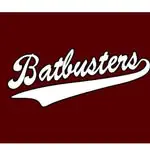 Batbusters Harrison
